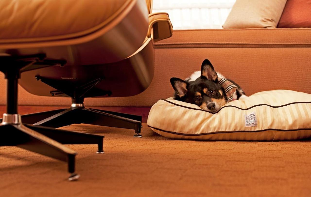 ไฮแอท เพลซ แอตแลนตา บัคเฮด Hotel ภายนอก รูปภาพ